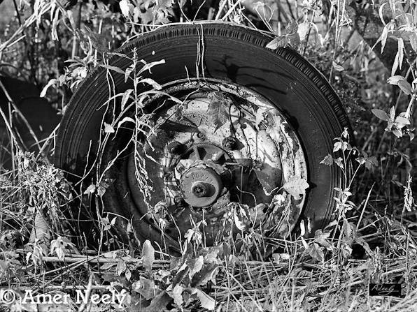 The Wheel